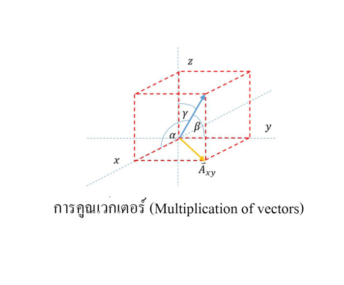 การคูณเวกเตอร์ (Multiplication of vectors)