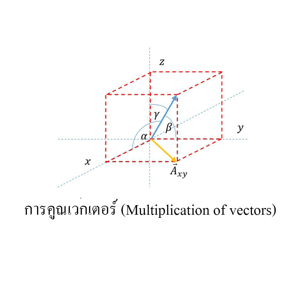 การคูณเวกเตอร์ (Multiplication of vectors) การคูณเวกเตอร์ (Multiplication of vectors)