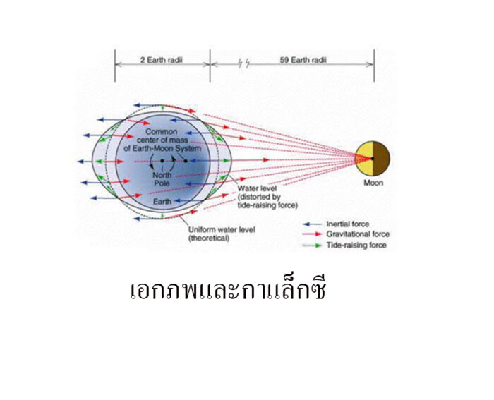 ข้างขึ้นข้างแรมกับการเกิดน้ำขึ้นน้ำลง