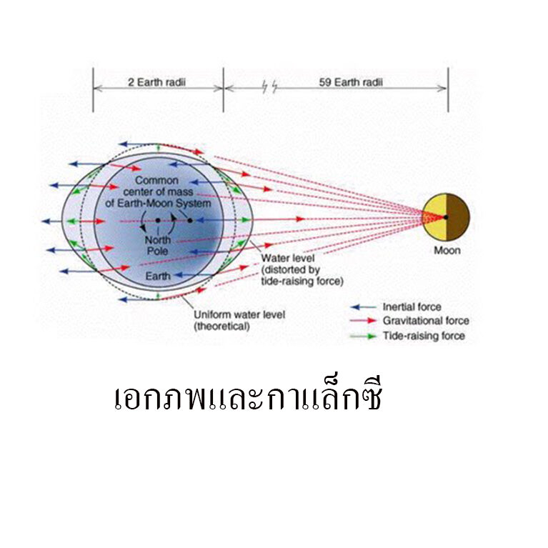 ข้างขึ้นข้างแรมกับการเกิดน้ำขึ้นน้ำลง