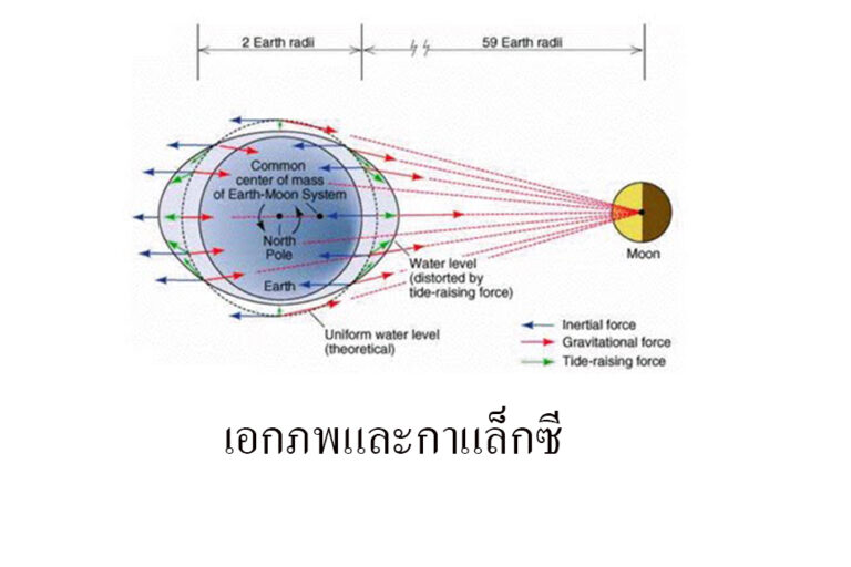 ข้างขึ้นข้างแรมกับการเกิดน้ำขึ้นน้ำลง