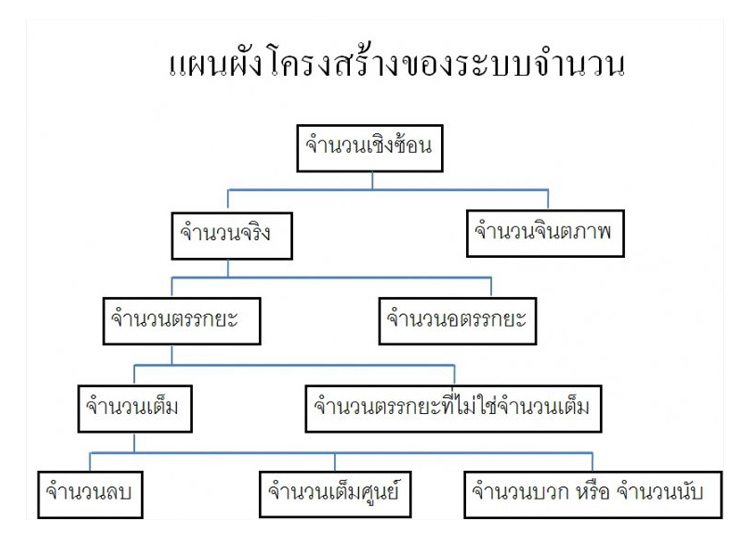 แผนผังโครงสร้างของระบบจำนวนจริง