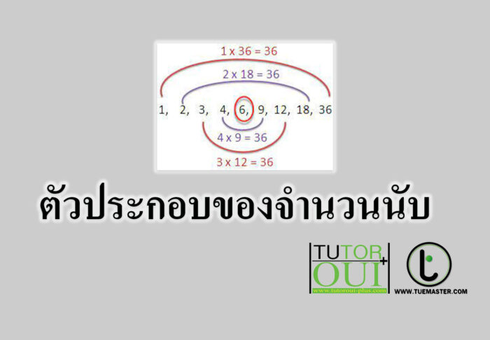ตัวประกอบของจำนวนนับ