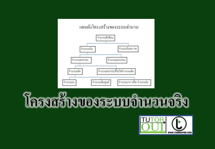 โครงสร้างของระบบจำนวนจริง โครงสร้างของระบบจำนวนจริง