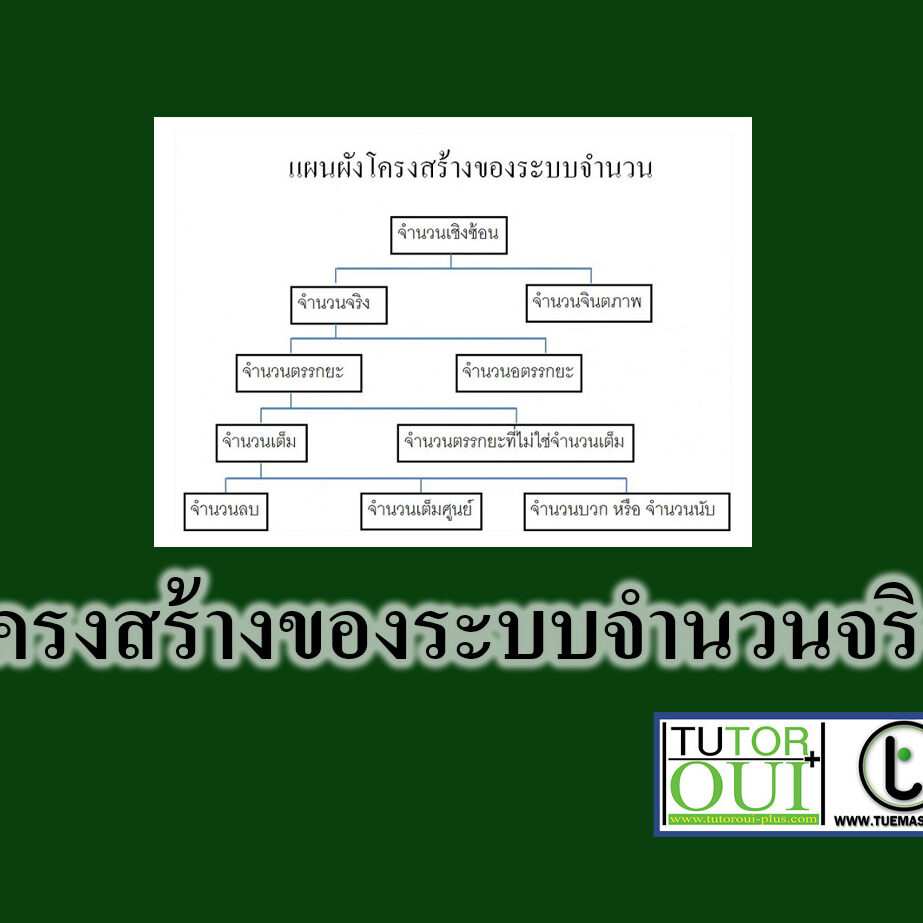 โครงสร้างของระบบจำนวนจริง