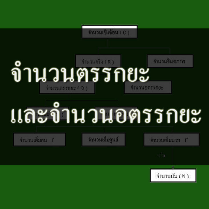 จํานวนตรรกยะและจํานวนอตรรกยะ