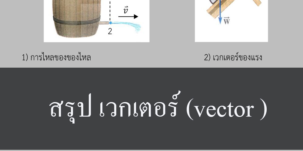 สรุป เวกเตอร์ (vector )พื้นฐาน