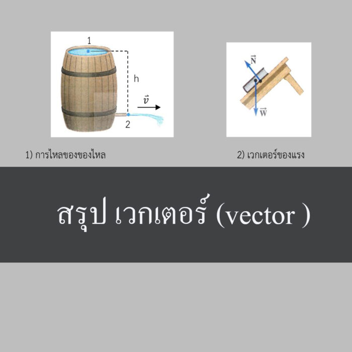 สรุป เวกเตอร์ (vector )พื้นฐาน
