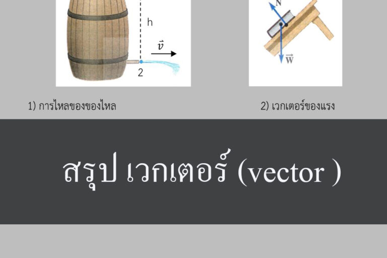 สรุป เวกเตอร์ (vector )พื้นฐาน