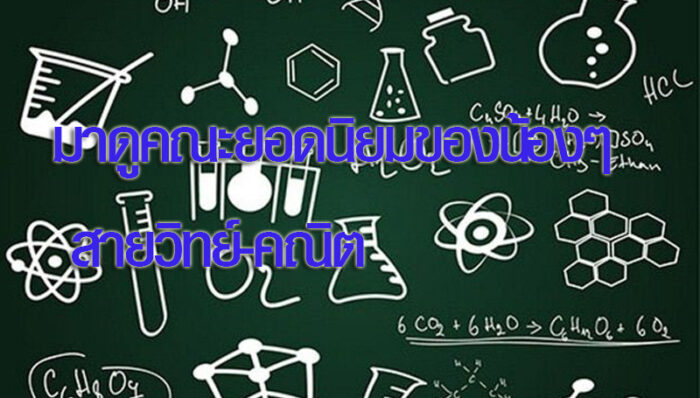 สายวิทย์-คณิต