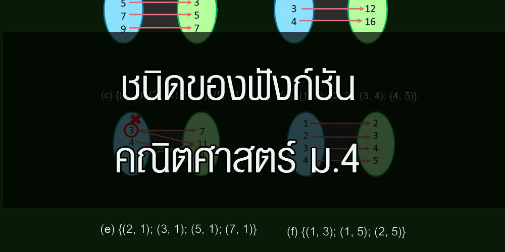 ชนิดของฟังก์ชัน-คณิตศาสตร์