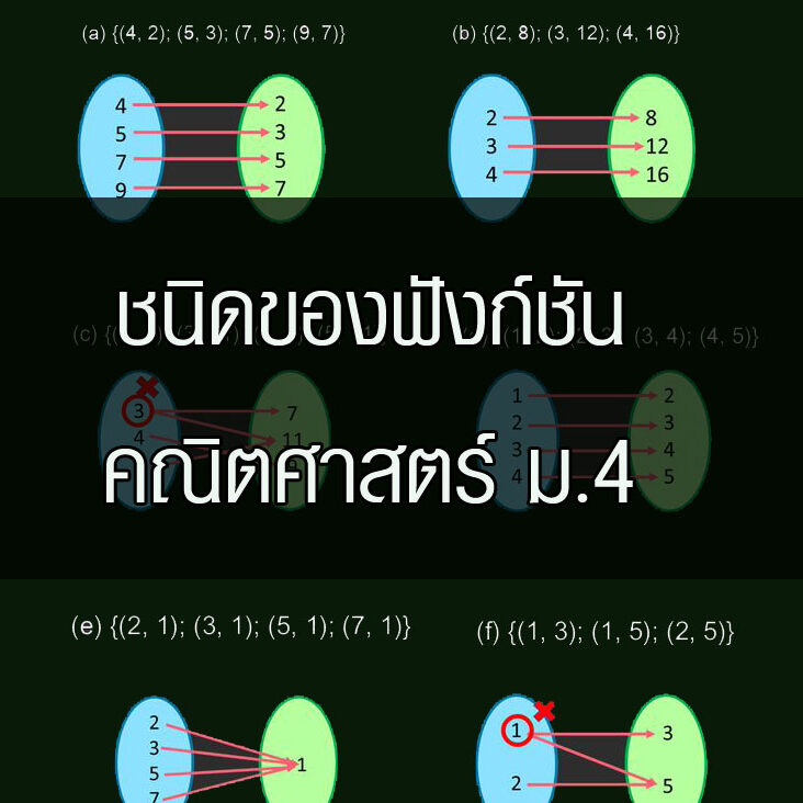 ชนิดของฟังก์ชัน-คณิตศาสตร์