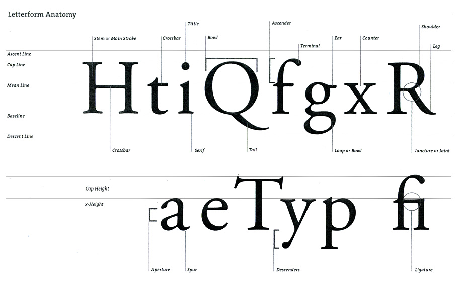 Typeface Anatomy หรือที่เรียกว่า โครงสร้างของตัวอักษร ซึ่งตัวอักษรนั้นก็มีส่วนประกอบหลายๆชิ้นที่มีชื่อเรียกต่างๆ กันออกไปตามตำแหน่งและ style ของตัวอักษร ยังไงลองมาดู ส่วนประกอบต่างๆ ของ Typeface กันก่อนค่ะ    ในส่วนนี้เรียกว่า Serif (เป็นภาษาลาตินที่แปลว่า เท้า) คือส่วนปลายสุดของเส้น Strokes ของตัวอักษร    ต่อมา Sans Serif (ภาษาลาติน Sans แปลว่า ไม่มี รวมกันแล้วคือ ไม่มีเท้านี้เอง)   Ascender & Descender ในส่วนของ Ascender นั้นจะอยู่เหนือแกน x ส่วน Descender จะอยู่ต่ำกว่าแกน x ครับ เช่น d และ p ตามลำดับ     Counter คือพื้นที่ส่วนปิดของตัวอักษร เช่น D P O เป็นต้น ส่วน Enclosed  ก็เป็นตัวอักษรที่ไม่ปิดครับ เช่น C M U    Stem คือ เส้น Stroke ที่เป็นเส้นแนวตั้ง เช่น I H b เป็นต้น ส่วน O นั้นไม่มีส่วนของ Stem    ส่วนเส้น Stroke ที่เป็นแนวนอน เรียกว่า Crossbar  เช่น A H f t เป็นต้น       Terminal คือส่วนจบของเส้น Stroke ทั้งแนวตั้งและแนวนอน ที่ไม่มีส่วนปลายเป็น Serif    Tail คือส่วนปลายหาง ของตัวอักษรครับ เช่น Q เป็นต้น