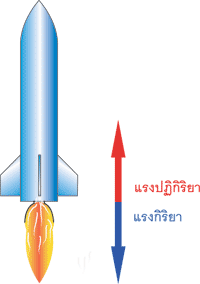 กฎของแรงปฏิกิริยา