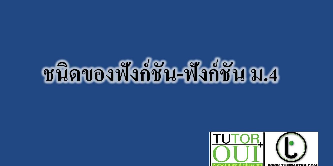 ชนิดของฟังก์ชัน