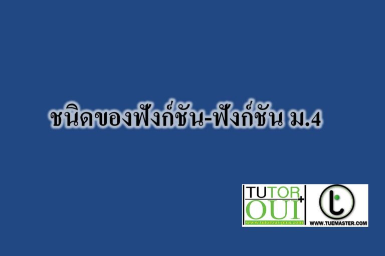 ชนิดของฟังก์ชัน