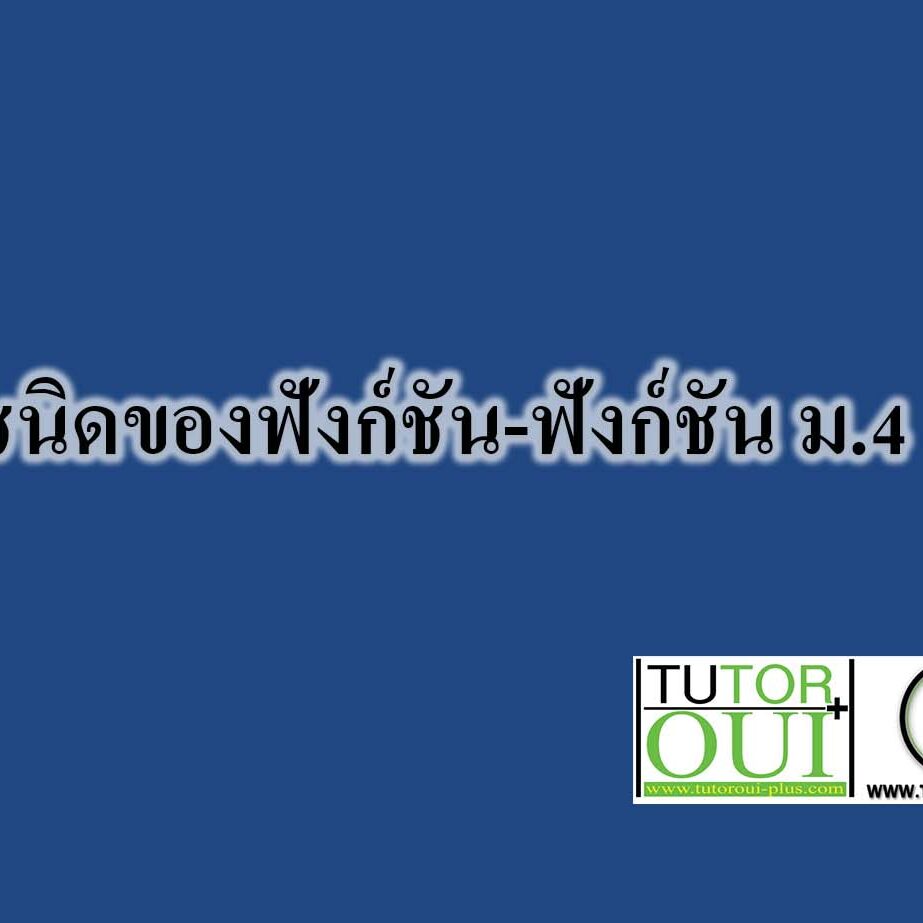 ชนิดของฟังก์ชัน