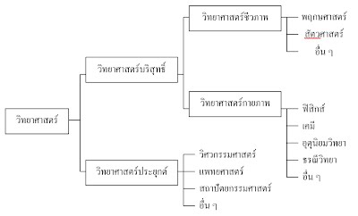  ฟิสิกส์ วิทยาศาสตร์และเทคโนโลยี