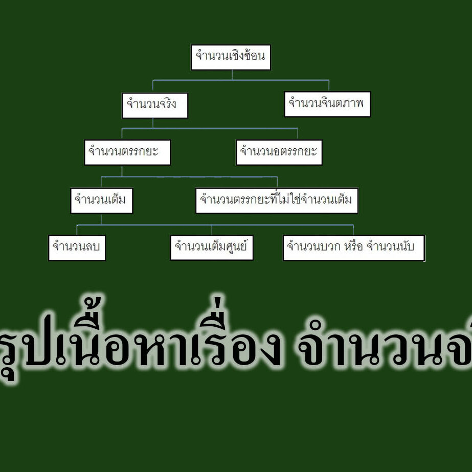 สรุปเนื้อหาเรื่อง จำนวนจริง