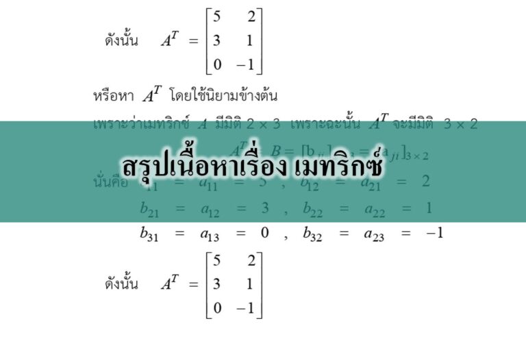 สรุปเนื้อหาเรื่อง เมทริกซ์