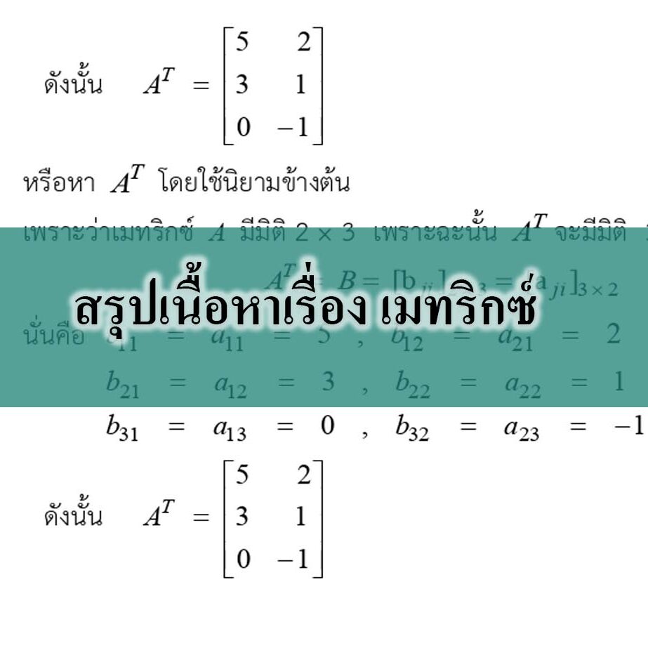 สรุปเนื้อหาเรื่อง เมทริกซ์