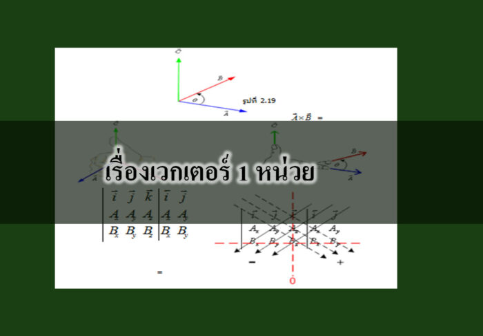 เรื่องเวกเตอร์ 1 หน่วย