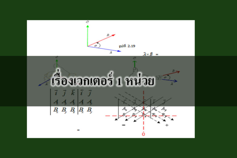 เรื่องเวกเตอร์ 1 หน่วย
