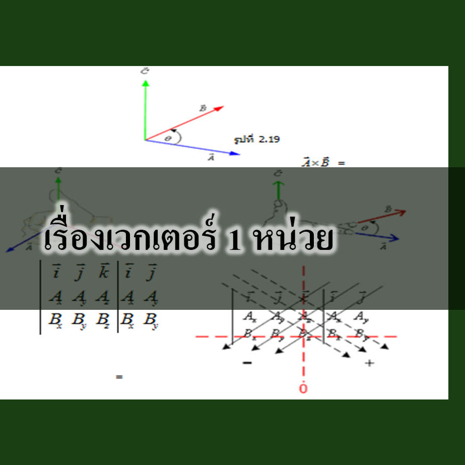 เรื่องเวกเตอร์ 1 หน่วย