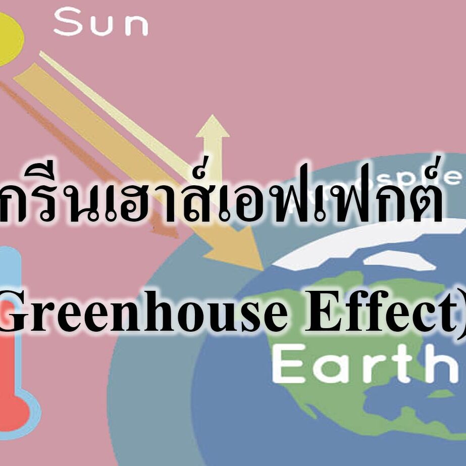 Greenhouse Effect