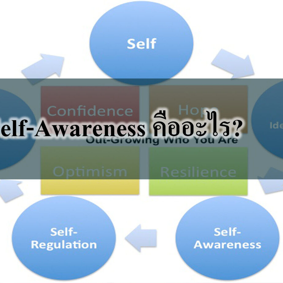 Self-Awareness คืออะไร