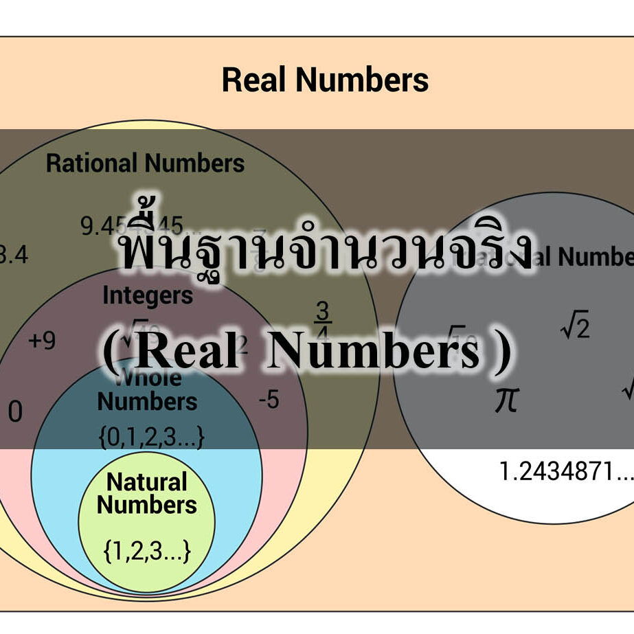 พื้นฐานจำนวนจริง ( Real Numbers ) พื้นฐานจำนวนจริง ( Real Numbers )