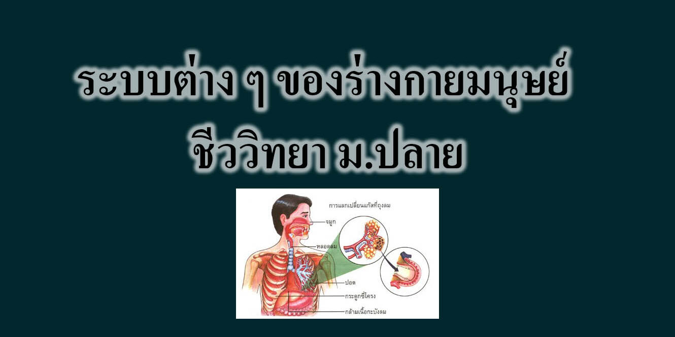ระบบต่าง ๆ ของร่างกายมนุษย์ ชีววิทยา