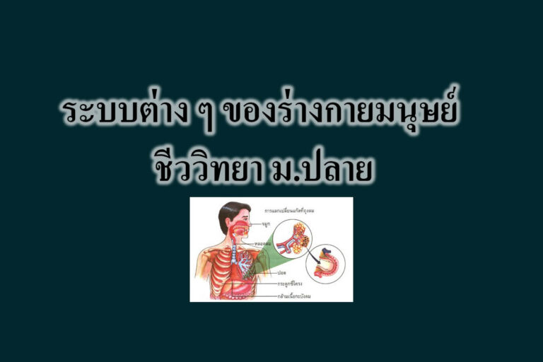 ระบบต่าง ๆ ของร่างกายมนุษย์ ชีววิทยา