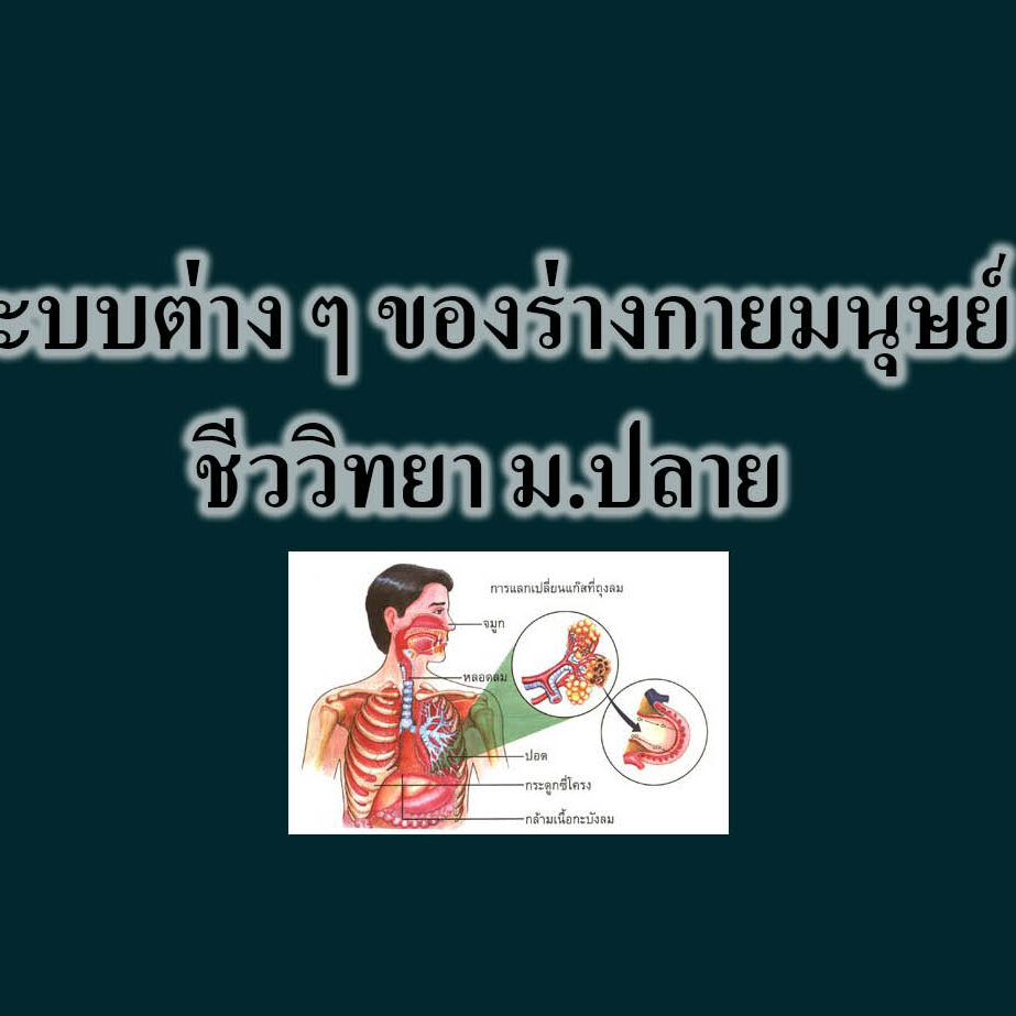ระบบต่าง ๆ ของร่างกายมนุษย์ ชีววิทยา