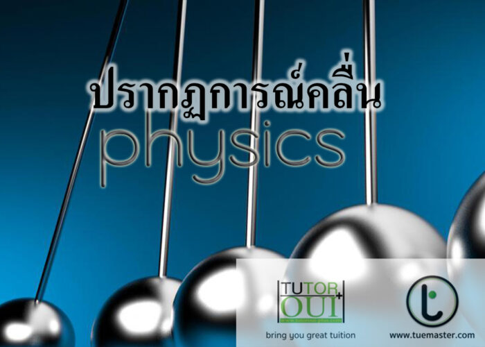 ปรากฏการณ์คลื่น