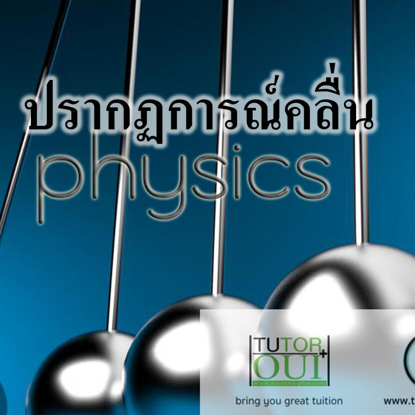 ปรากฏการณ์คลื่น