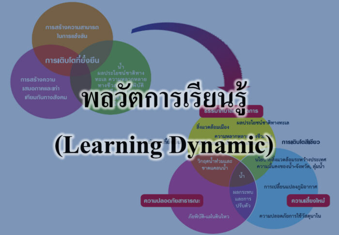 พลวัตการเรียนรู้ (Learning Dynamic) 