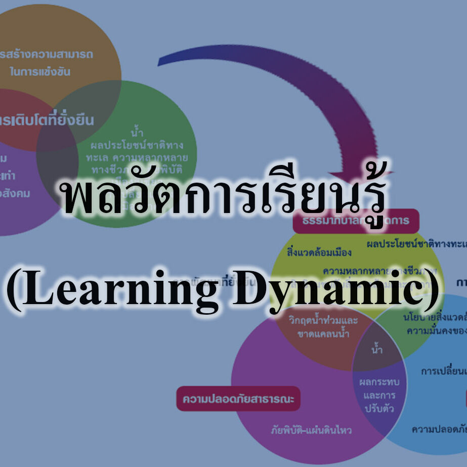 พลวัตการเรียนรู้ (Learning Dynamic) 