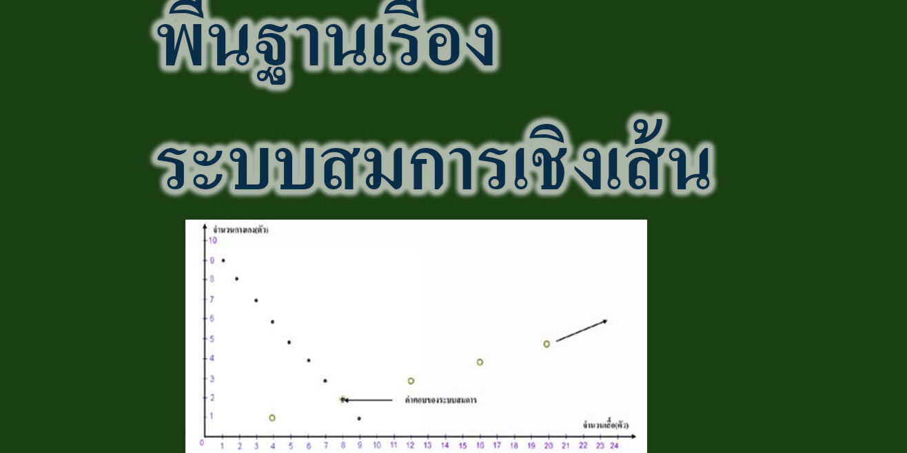 พื้นฐานเรื่องระบบสมการเชิงเส้น