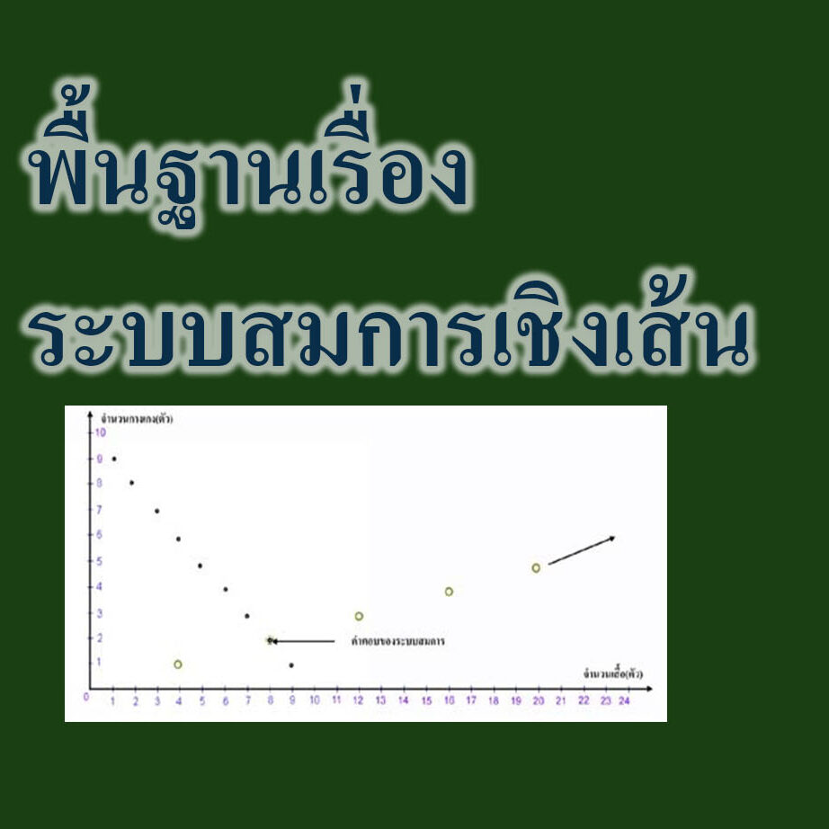 พื้นฐานเรื่องระบบสมการเชิงเส้น พื้นฐานเรื่องระบบสมการเชิงเส้น