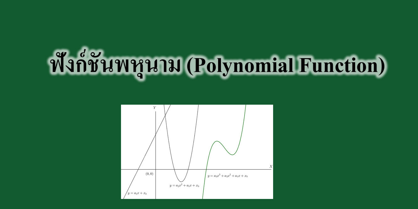 ฟังก์ชันพหุนาม (Polynomial Function)