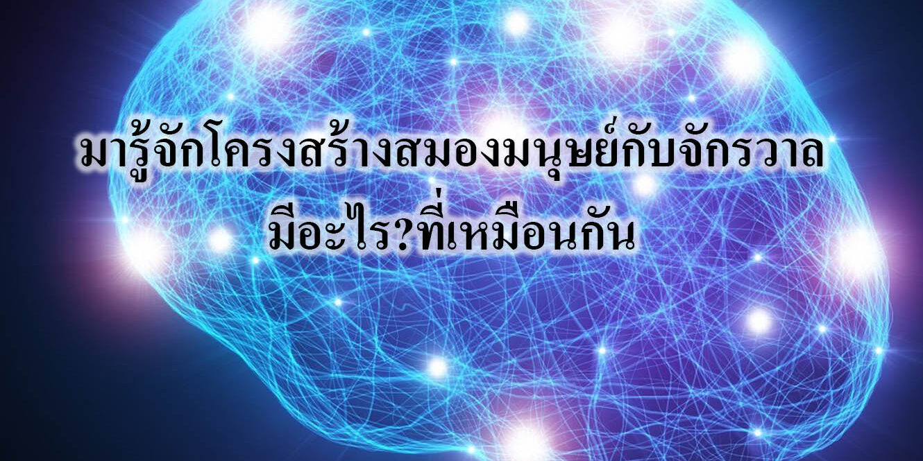 มารู้จักโครงสร้างสมองมนุษย์กับจักรวาลมีอะไรที่เหมือนกัน มารู้จักโครงสร้างสมองมนุษย์กับจักรวาลมีอะไร?ที่เหมือนกัน