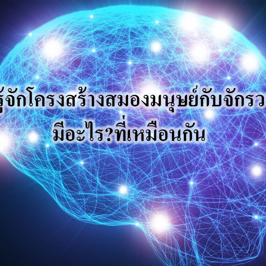มารู้จักโครงสร้างสมองมนุษย์กับจักรวาลมีอะไร?ที่เหมือนกัน