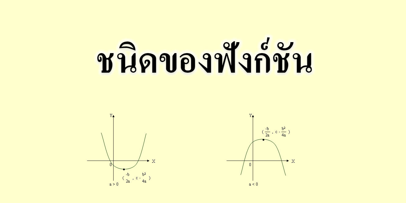ชนิดของฟังก์ชัน