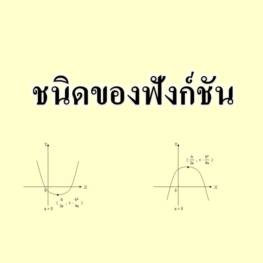 ชนิดของฟังก์ชัน