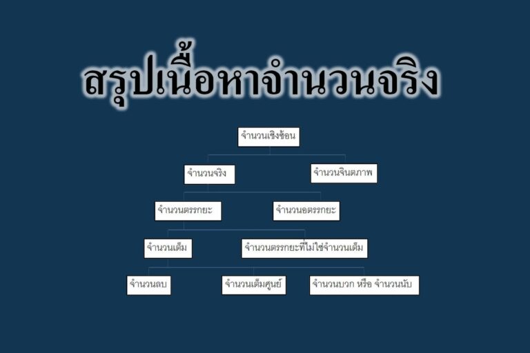 สรุปเนื้อหาจำนวนจริง