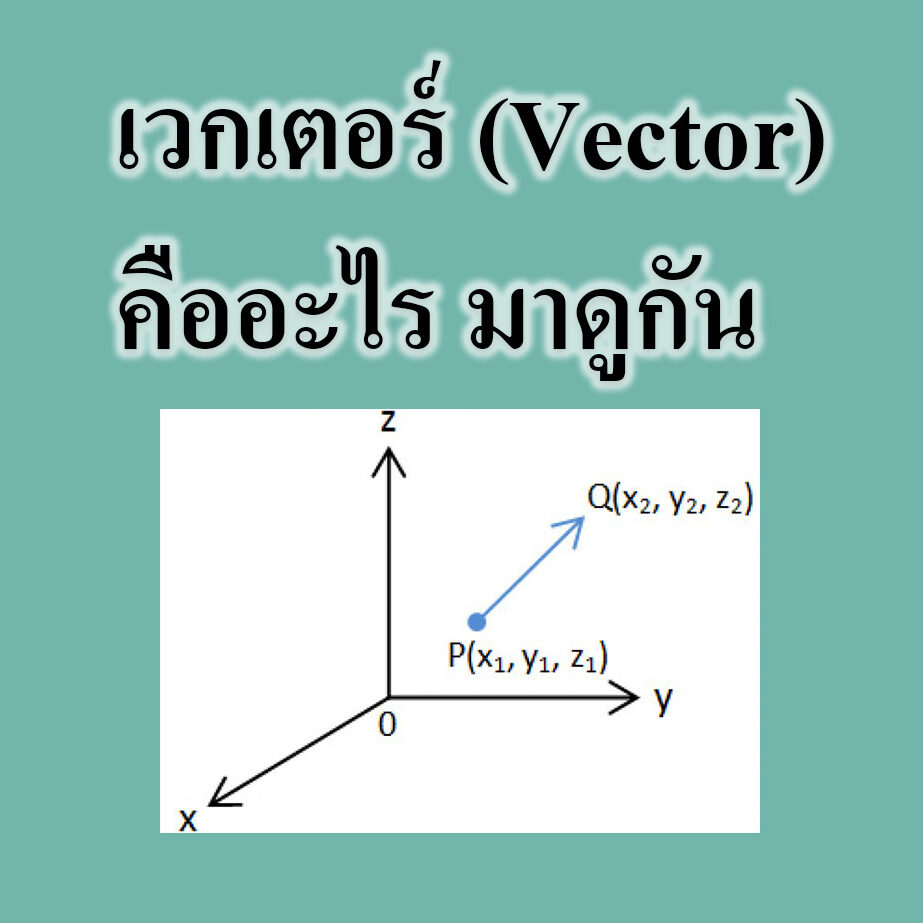 เวกเตอร์ (Vector)คืออะไร มาดูกัน เวกเตอร์ (Vector)คืออะไร มาดูกัน