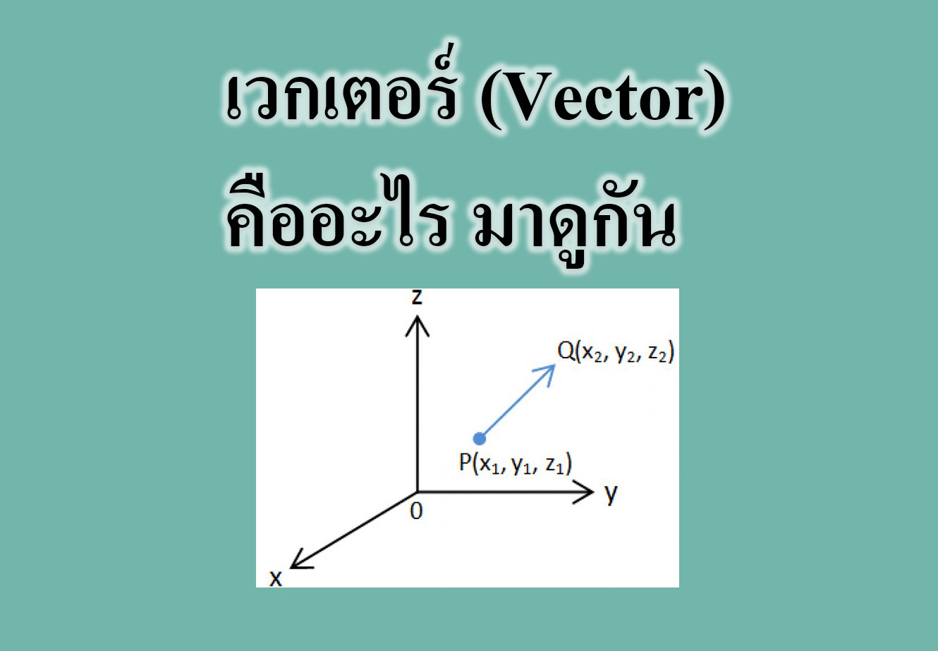 vector-tuemaster