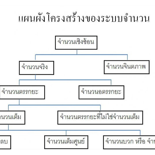 จำนวนจริง