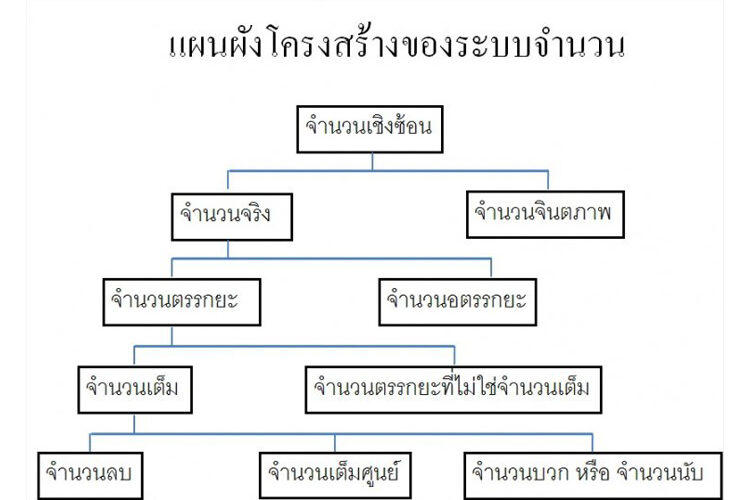 จำนวนจริง